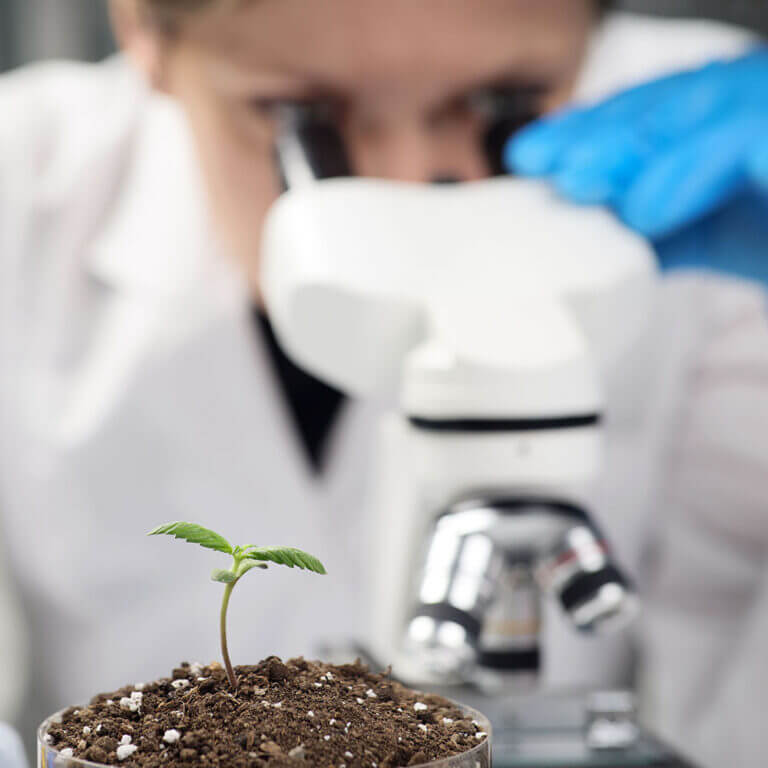 Ecosens Analysen und innovative Umweltlösungen